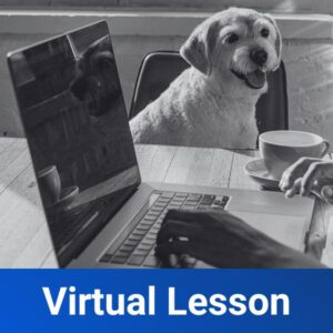 Virtual Lesson