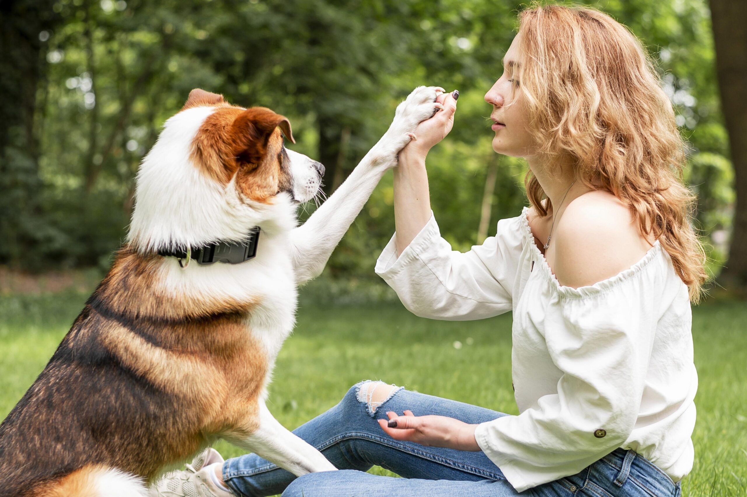 Dogs Act Differently Around Different People