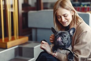 Teaching Your Dog to Rsist Temptation