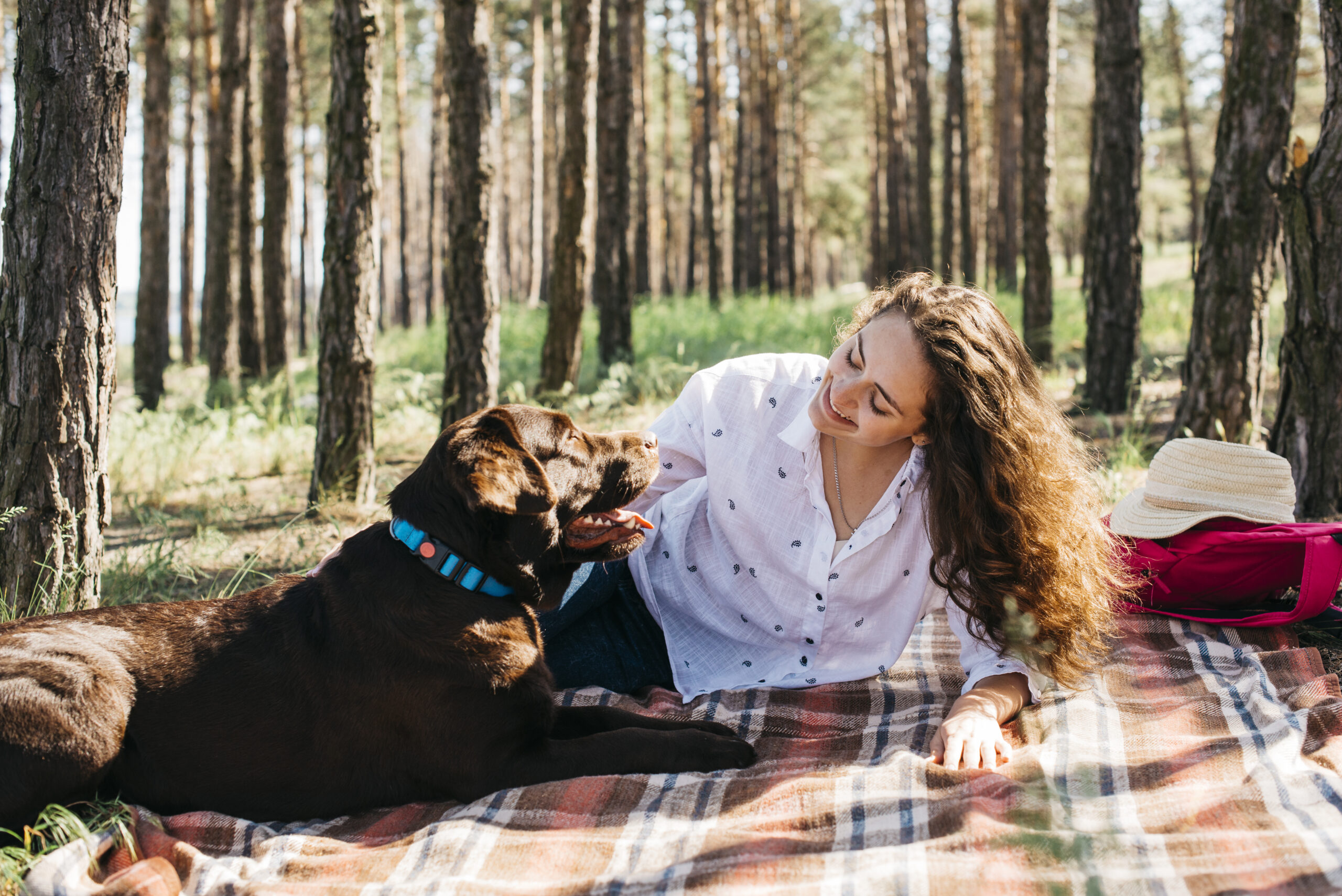 Camping With Your Dog