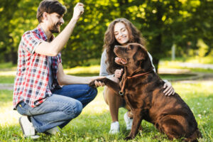 Praise-Only Dog Training
