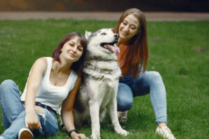 Successful Dog Training