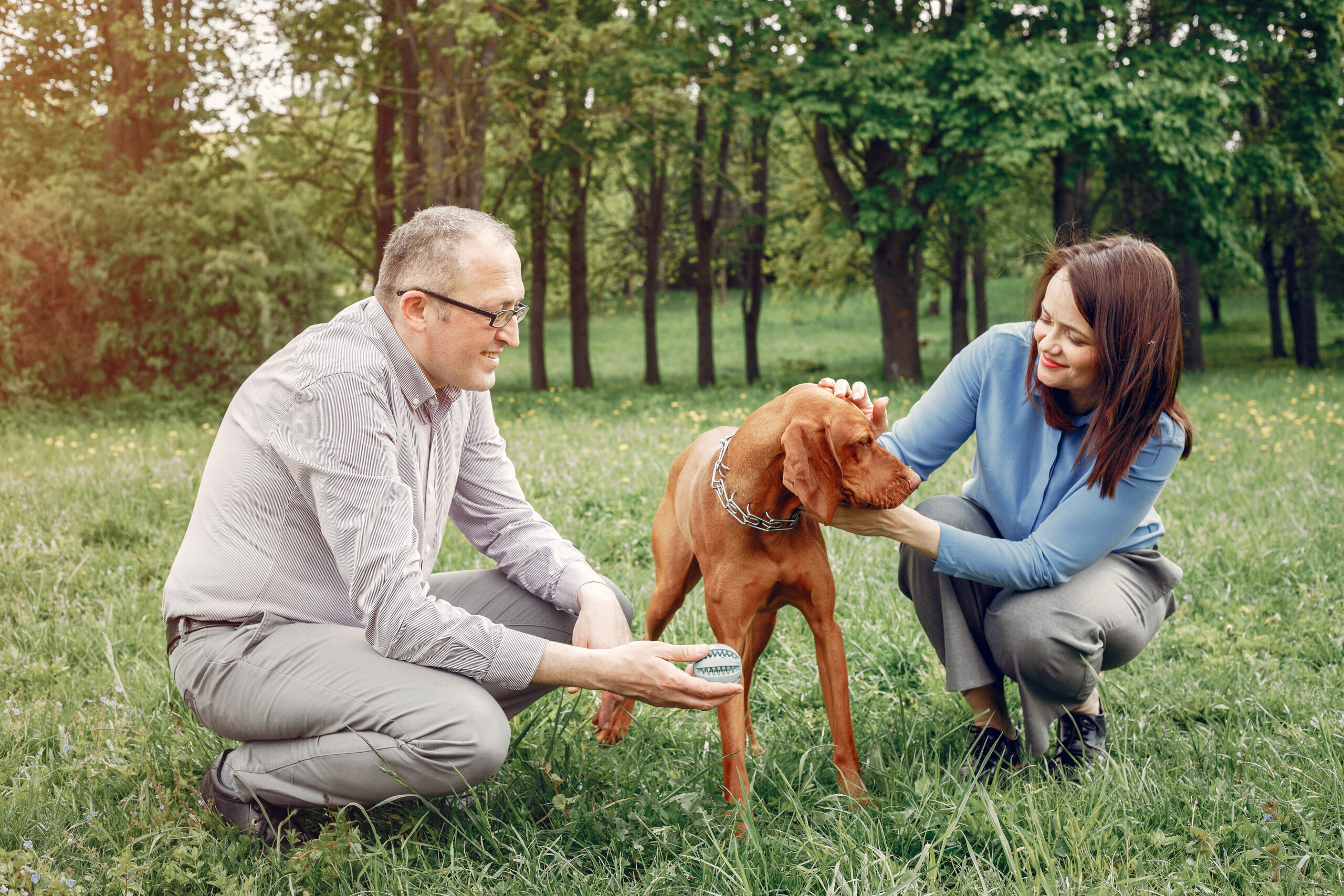 Physical Therapy for Dogs