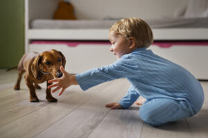 Puppies Structured Routine