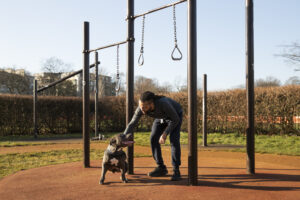 Advanced Dog Training
