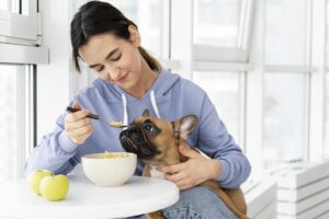 Dog Brain Function for Training