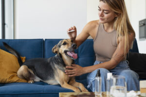 Dog Brain Function for Training